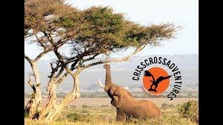 Addo Tours & Safari's with Crisscross Adventures 2017