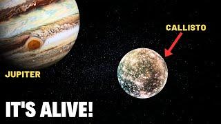 Shocking! New Study Reveals that Jupiter’s Moon Callisto Has Alien Life Potential!