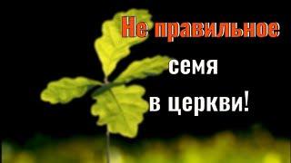 Не правильное семя в церкви! Ошибка христианских проповедников.