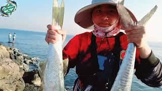 King fish & Cuda landed (The best fishing spot in UAE)