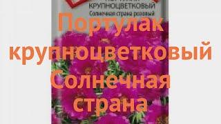 Портулак крупноцветковый Солнечная страна розовый  обзор: как сажать, семена портулака