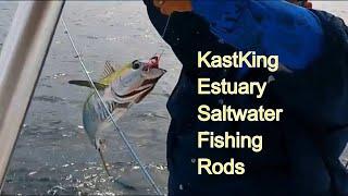 ►►►  KastKing Saltwater Fishing Gear Review  Ft Gus OneBear