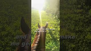 Blessed #horselife #horse #equestrianjourney #rodeo
