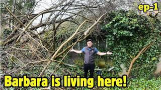 MADNESS! Trees Cut Down.. Rested On Her ROOF! *Helping Barbara Ep1*