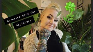 Monstera Deliciosa VS Monstera Adansonii Care Tips for Beginners! // Missalannanielsen