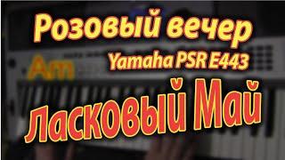 Розовый вечер на Yamaha PSR E443 Аккорды