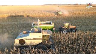 Harvesting Corn near Washington Court House Ohio | Gleaner Combines