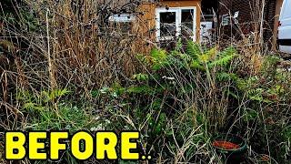 OVERGROWN - YEARS Of Growth CLEANED To Find HIDDEN Wall! - Garden Transformation