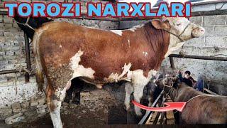 SHOXIDON SEMIZ BUQALAR TAROZI JOYIDAN NARXLARI BOMBA#barakatop