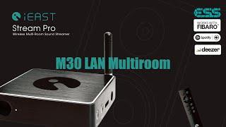 iEAST Stream Pro M30 LAN Multiroom