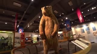 Museum of the North; Fairbanks, Trip 2019