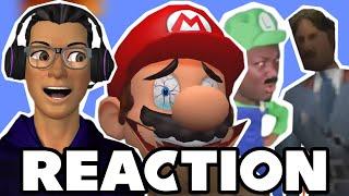 NOT MARIO'S PINGAS | Mario Reacts to Nintendo Memes or else his salami is chopped off (Reaction)