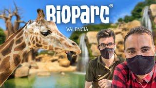 BIOPARC VALENCIA | Zoo-inmersión