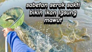 berburu ikan di tambak Oso waru Sidoarjo