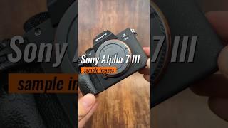 Sony Alpha 7 III camera test + sample images - A7 Mark 3 M3 Photography #camera #sonyalpha #cameras