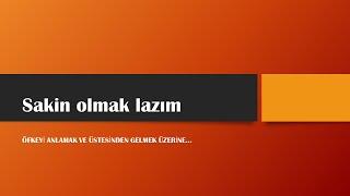 SAKİN OLMAK LAZIM... ÖFKEYİ ANLAMAK VE ÜSTESİNDEN GELMEK ÜZERİNE - 1