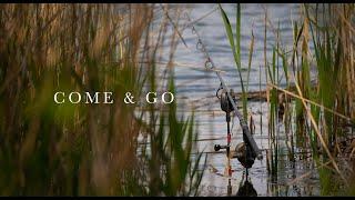 Come & Go - A Springtime Tale