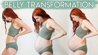 PREGNANCY TRANSFORMATION | Week By Week Belly Growth