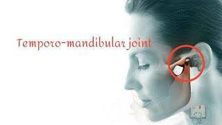 Temporomandibular Joint (TMJ): Anatomy & Histology