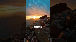 Unbelievable Nature Facts You Probably Didn't Know - Part 14 #sciencedaily #didyouknow #shorts