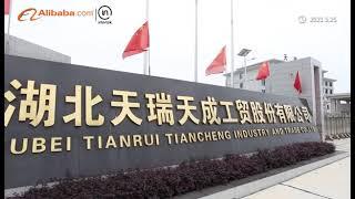 hubei tianrui baby strolkler factory video