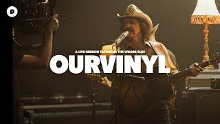 The Wilder Blue - Dixie Darlin' | OurVinyl Sessions