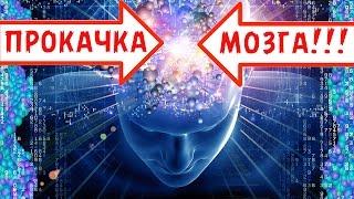 РАЗВИТИЕ ГОЛОВНОГО МОЗГА ЧЕЛОВЕКА. РАБОТА НА УСПЕХ.