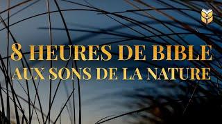 8 heures de Bible aux sons de la nature #biblevision