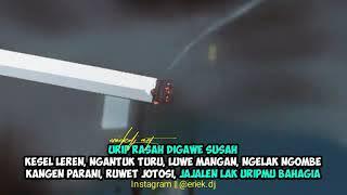 Ngentot