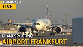 Planespotting LIVE: Frankfurt Planemania Freitag, Teil 3