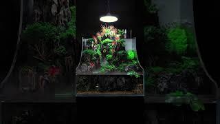 From Water to Land: Explore the World of Unique Semi-Aquatic Fish Tanks | pondon.net