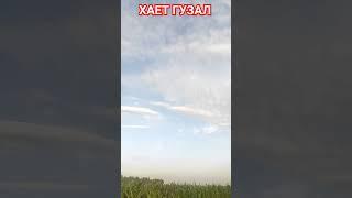 ХАЕТ ГУЗАЛ#love #respect #кува #тренд #funny #ai #rek#reaction #uzbekistan #fergana