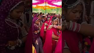 #aadivasi_status #song#cover#adivasi#love#dance#rockystarbandnewtimlisong#aadivasisong#aadiwood