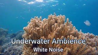 Underwater Ambience | Under Water White Noise | Deep Sea Relaxation Sounds