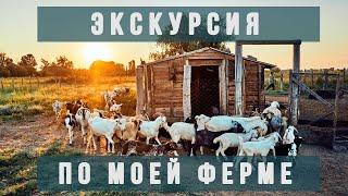 Экскурсия по моей ферме. ЛПХ. Астраханская область.