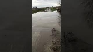 Rain Rain on my face #flood #rain #spring #shorts #crossing