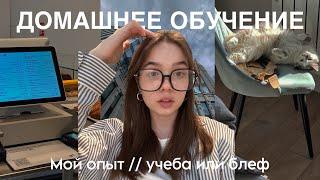 на домашнем обучении не учатся? // мой опыт в Фоксфорде