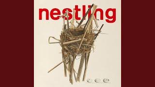 nestling