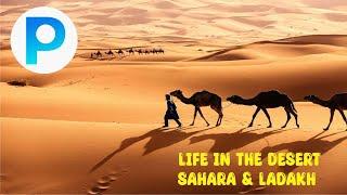 Class 7th SOCIAL SCIENCE Life in the Desert Sahara and Ladakh