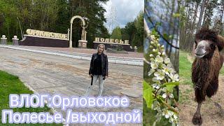 Влог:Орловское полесье🪵