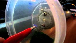Flocker from the fly swatter.MOV
