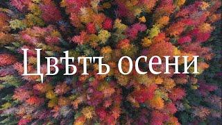 Цвета осени. Осенние картины канадской глубинки. Знаменитый канадский клен и не только.