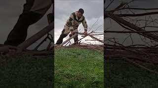 #Старая пила новые проблемы