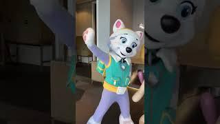 The Paw Patrol is on a roll! Which of these pups is your favorite?
