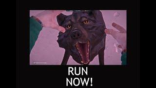 RUN NOW meme