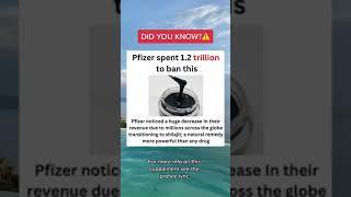 Did you know this? #shilajit #bigpharma |Natural Rems|