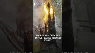 J&K: Massive Forest Fire Erupts in Udhampur, No Casualties Reported | N18G