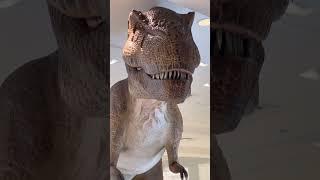 Giant Din￼osaur at the mall || dinosaur in action