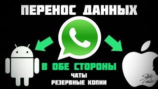 Лучший способ переноса данных WhatsApp iOS & Android 2021