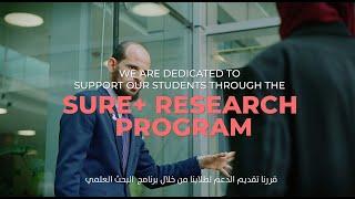 Exploring Circular Economy Options for Electrical Vehicles Batteries in the UAE